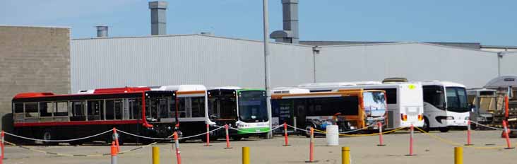 Volgren works Skybus MAN Optimus
